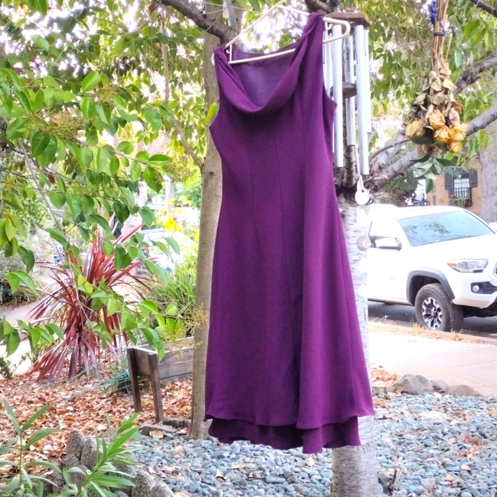 Evan Picone Burgundy Women's Dress Draper's in the Back of Nape Size 12